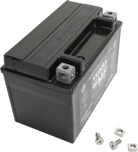 AGM Battery - YTX9
