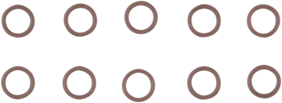 Cam Support O-Ring