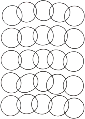 Starter Housing O-Ring Pack