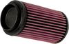 Air Filter - Polaris