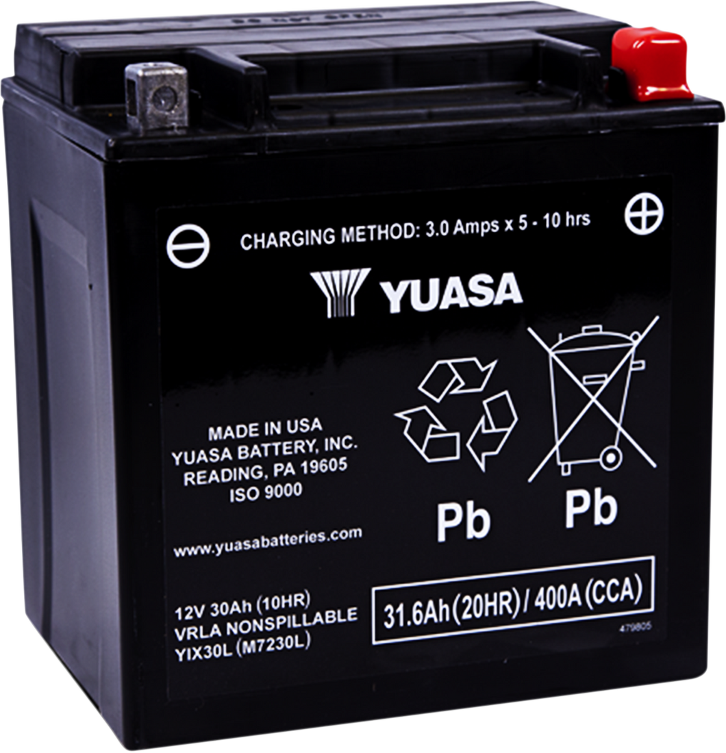 AGM Battery - YIX30L