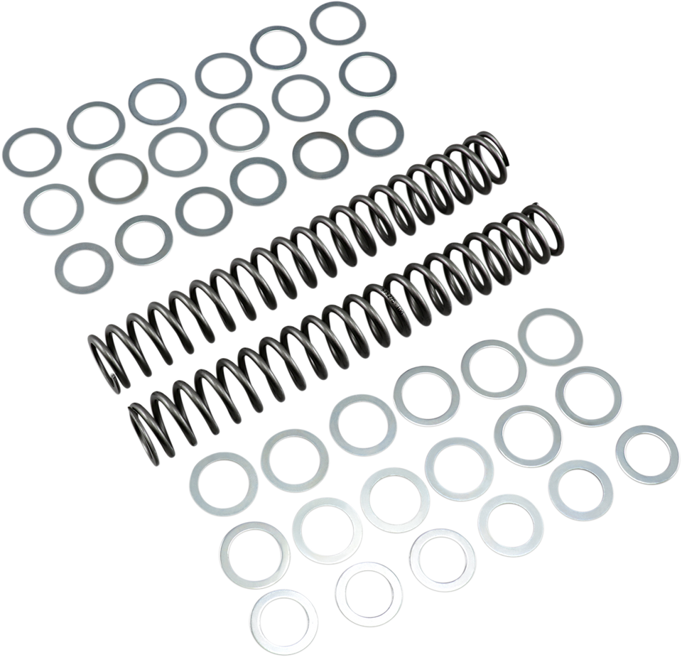 Fork Springs - 1.00 kg/mm