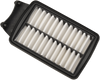 Air Filter - Victory 7081648