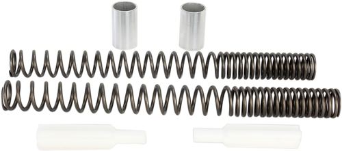 Front Fork Springs - BMW F800GS