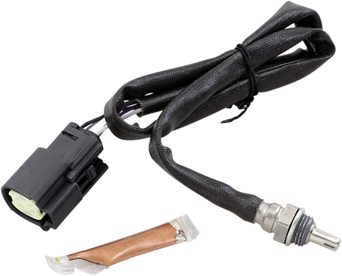 12mm Oxygen Sensor - Rear - Twin Cam