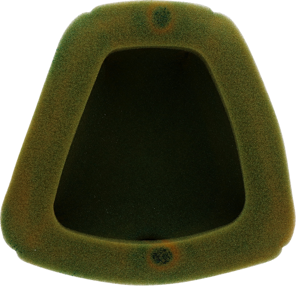 Factory Pre-Oiled Air Filter - Yamaha