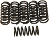 Clutch Springs