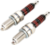 Spark Plugs - 02-17 VROD