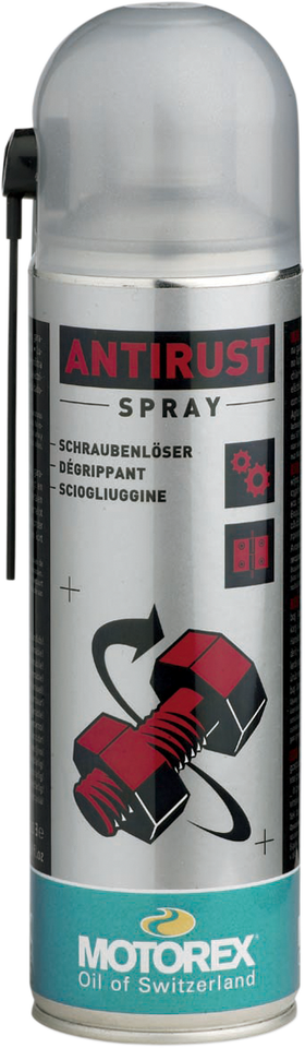 Anti-Rust Spray - 16.9 U.S. fl oz. - Aerosol