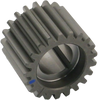 Pinion Gear