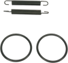 Spring and O-Ring Kit