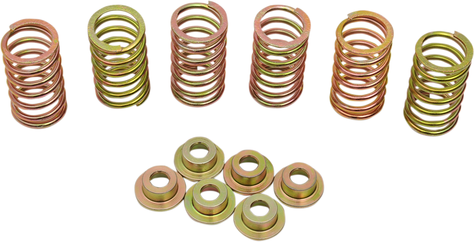 Clutch Spring Kit