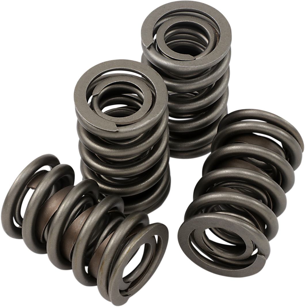 Valve Spring Kit - Evolution - Big Twin