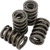 Valve Spring Kit - Evolution - Big Twin