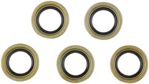 Starter Shaft Seal - EVO