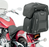 FTB3600 Sport Sissy Bar and Combo Bag