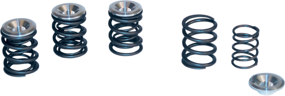 Valve Spring Kit - Big Twin