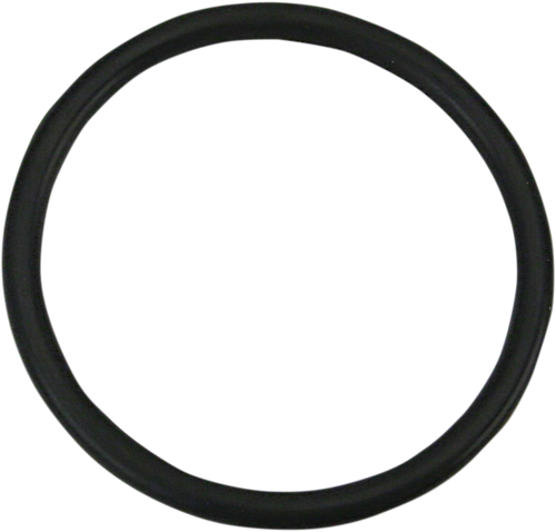 Viton O-Ring