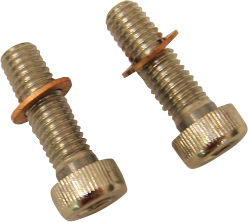 Screws with/Washers - Damper Tube