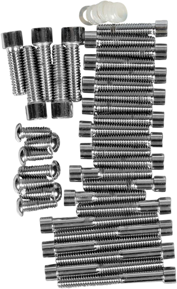 Socket-Head Smooth Primary Bolt Kit - Softail