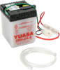 Battery - Y6N4-2A-8