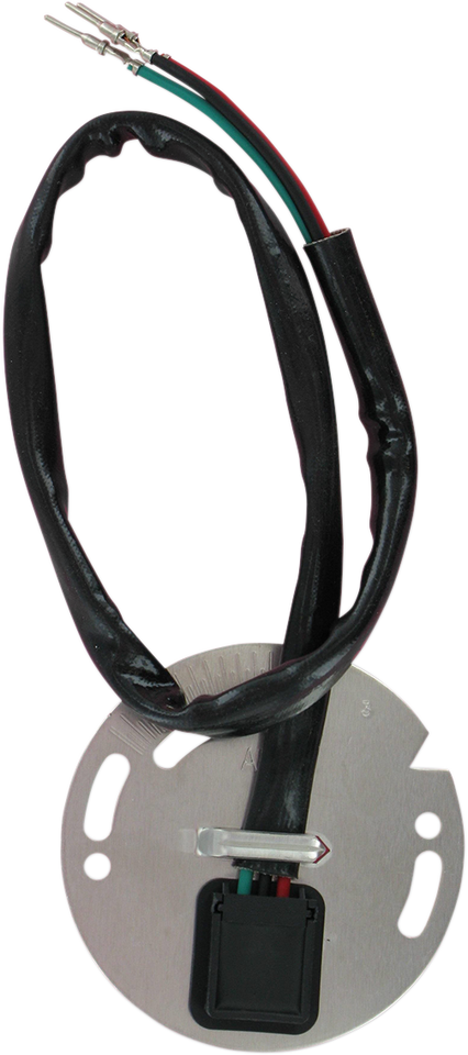 Ignition Sensor Assembly - Harley Davidson