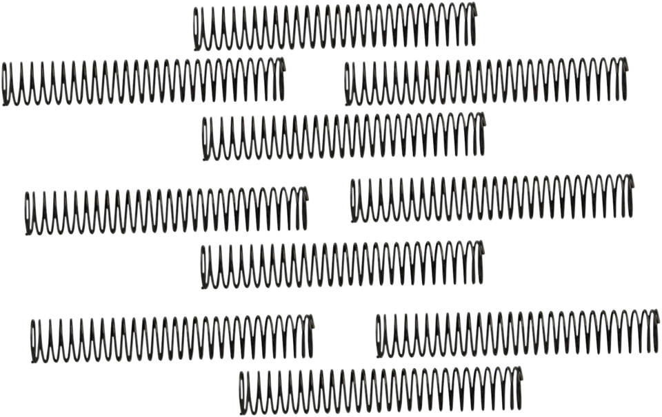 Oil Pump Check Valve Spring - 10 Pack
