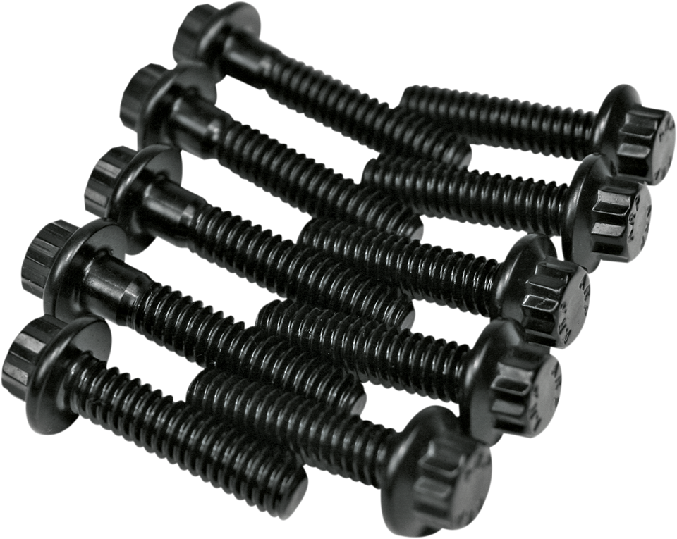 Oil Pump Bolt Kit - Twin Cam