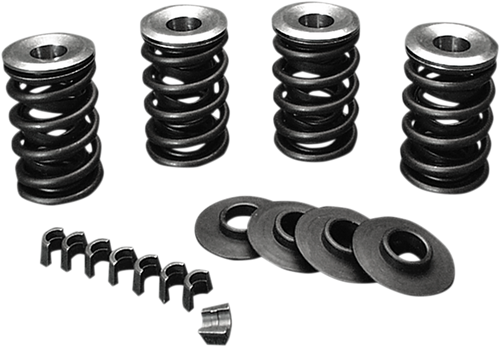 Valve Spring Kit - Evolution - Big Twin