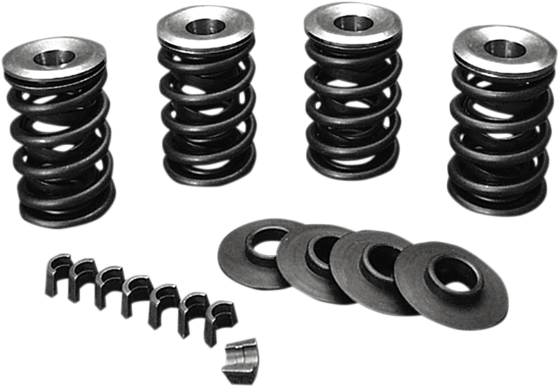 Valve Spring Kit - Evolution - Big Twin
