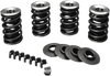 Valve Spring Kit - Evolution - Big Twin