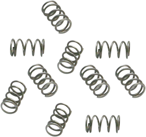 Idle Mix Screw Spring