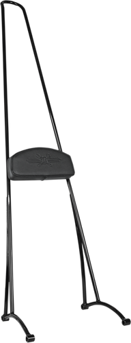 Stupid Tall Sissy Bar