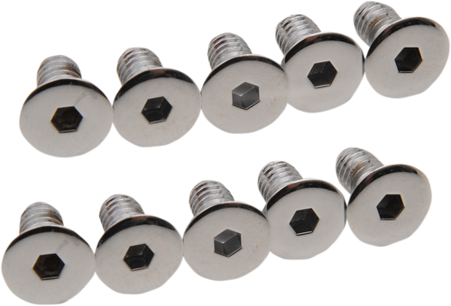 Derby/Inspection Cover Screws