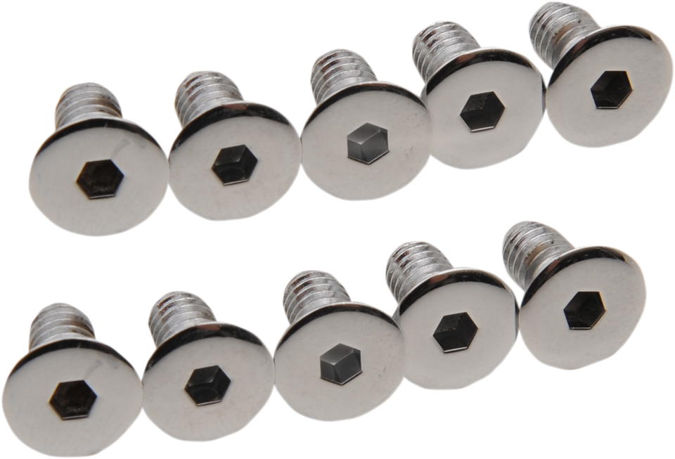 Derby/Inspection Cover Screws