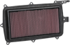 Air Filter - Honda Talon