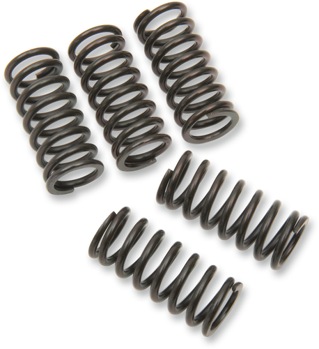 Clutch Springs