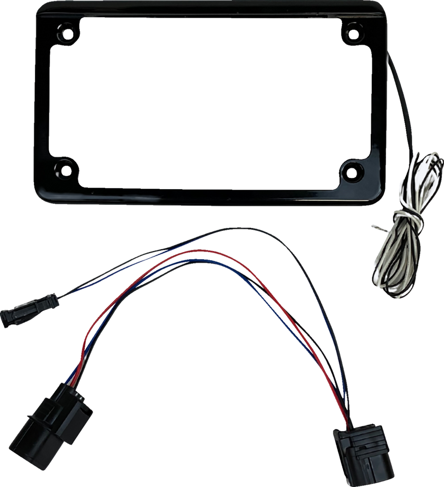 License Plate Frame - LED - w/ Tag Light - Black - SXS - Lutzka's Garage