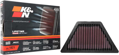 Air Filter - BMW R18