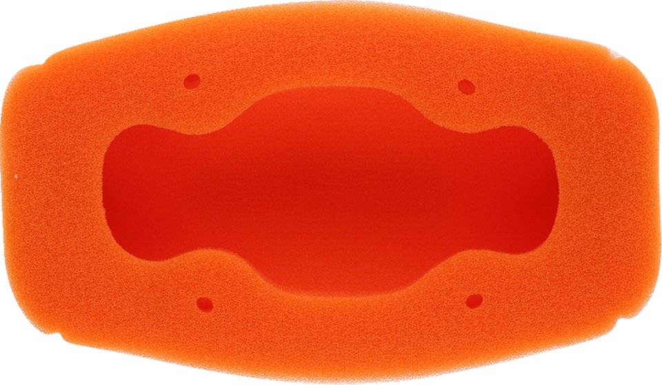 Standard Air Filter - KTM