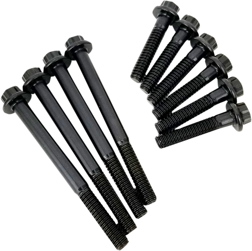Bolt Kit for Cam Plate/Oil Pump Kit - M8