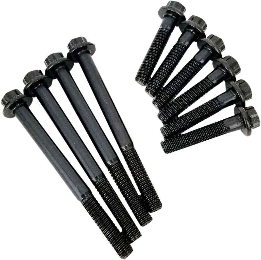 Bolt Kit for Cam Plate/Oil Pump Kit - M8