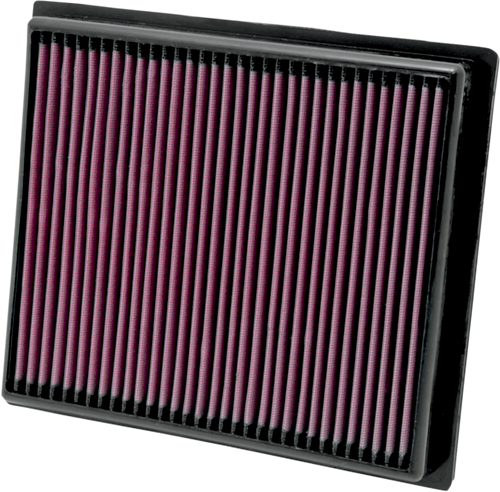 Air Filter - RZR XP 900