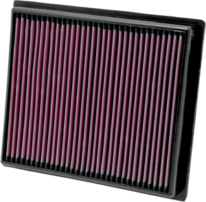 Air Filter - RZR XP 900