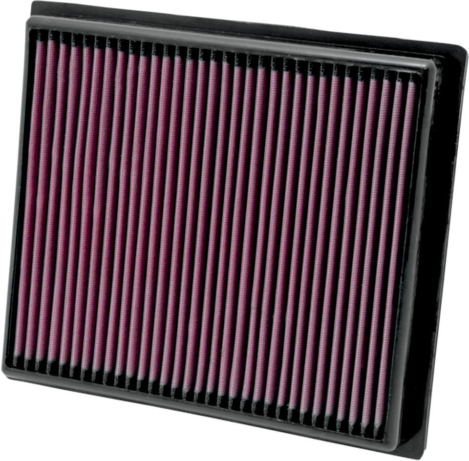 Air Filter - RZR XP 900