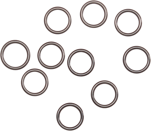 Carb Backplate O-Ring