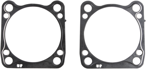 Cylinder Base Gasket Pair