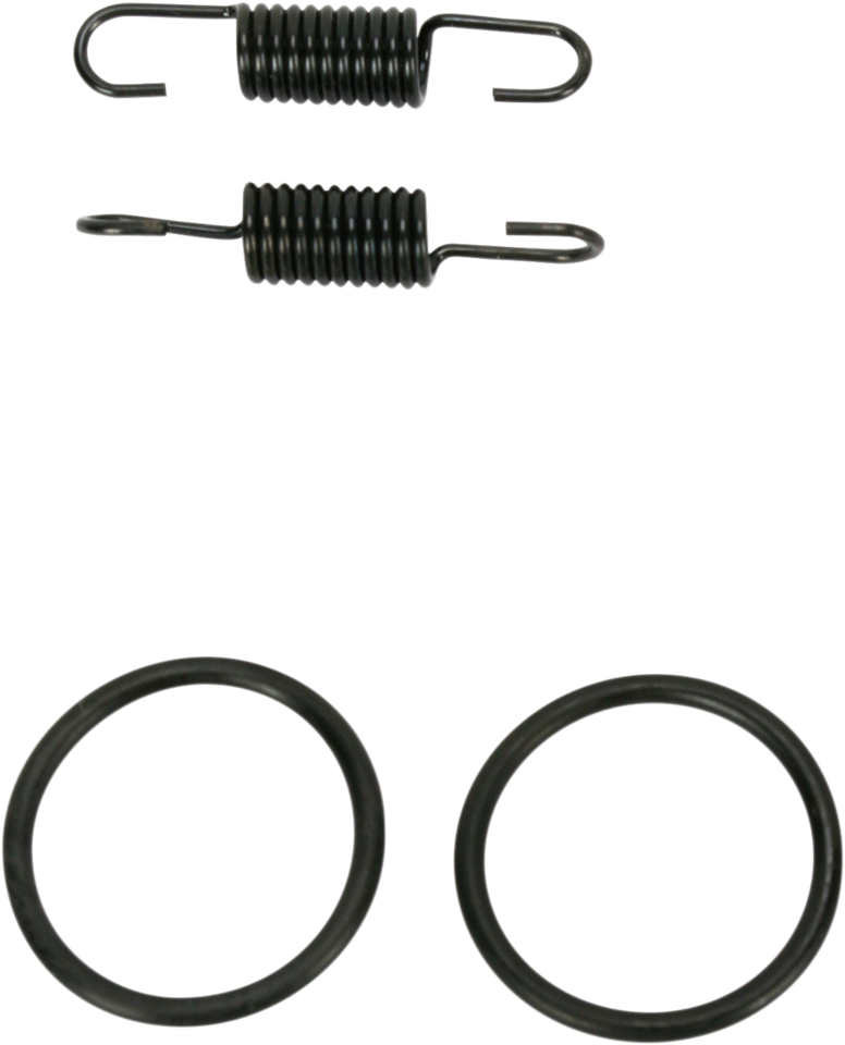 Spring and O-Ring Kit