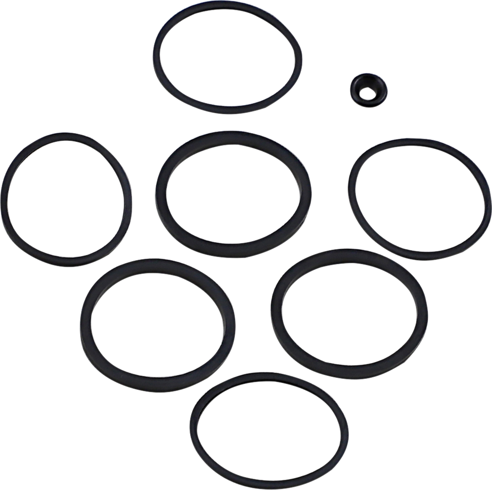 Caliper Seal Kit - FLT