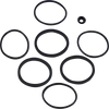 Caliper Seal Kit - FLT